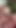 ワイルドなセックス |クリップ1