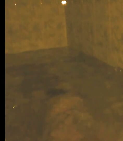 Bandar Sissy flexible in the bathtub attempting self suck and then final surprise