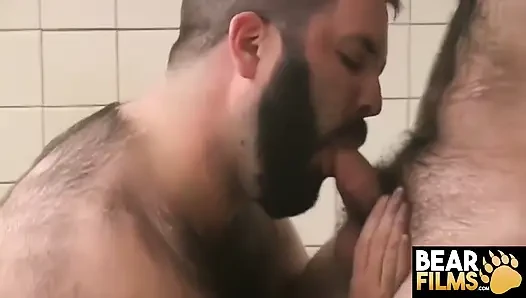 Bearfilms Intense Anal with Bears Logan Shotwell and Scott Cardinal