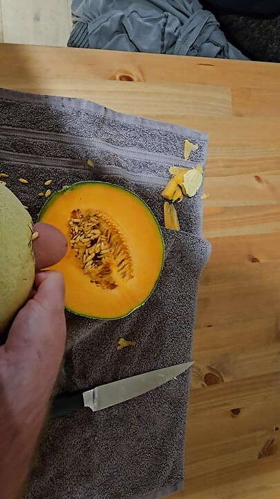Fucking a melon