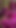 欲望に満ちたネオンの優しさ |クリップ3