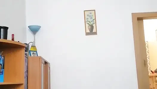 такое наше домашнее отвлечение