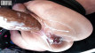 Pregled videozapisa