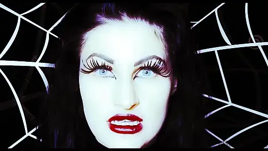 Caught in my cobweb...