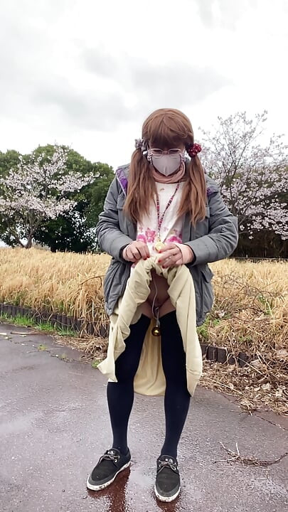 No166 Tuck and quiet cherry blossom viewing time