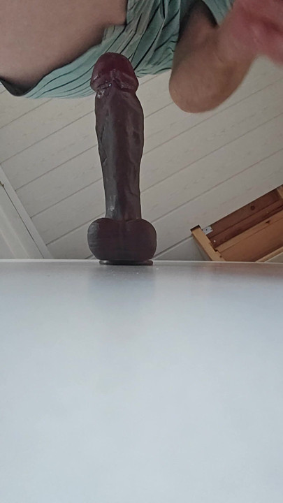 Yeni arkadaşım