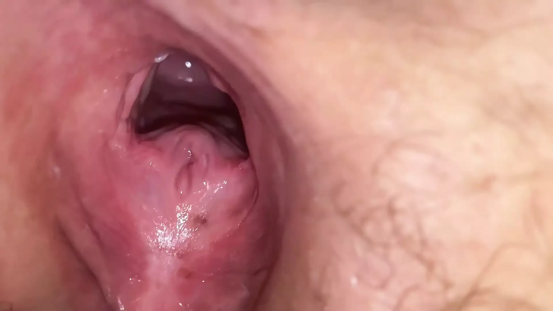 Bbw a pecorina