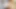 Great Doggystyle Cumshot Compilation - Cum in Pussy - Huge Pussy Lips - Lots of Cum