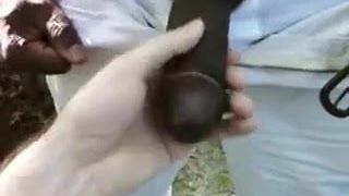 beautiful black cock getting blown in the park