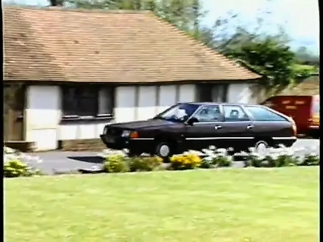 Mammary Manor (1991)