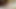 異人種間のカップル