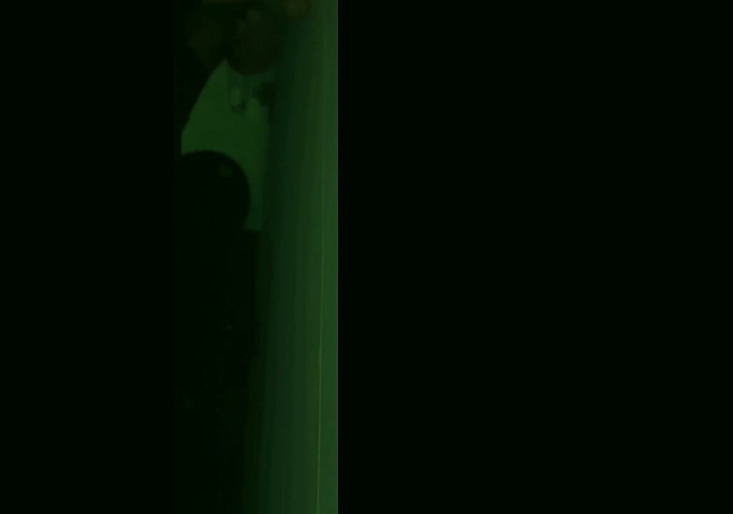 Vision nocturne : sodomie profonde avec un gode bwc