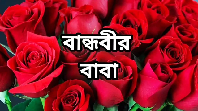 Bangla choto golpo beautiful mature hot sexy bhabi cheating hasband and fuck neighbour at midnight in bedroom