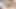 BIG ASS BBW GETTING MASSAGED