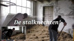Video ön izlemesi