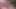 FTM Men Tall toned tatted stud Tommy Deetz sucks off juicy FTM Tdick