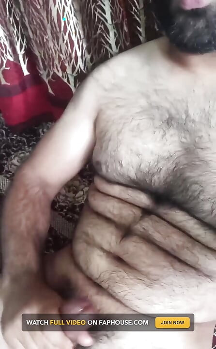 BibearXXX schwanz