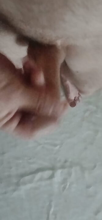 The Timid