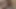 Alisya anal huge dildo and cumshot. Sissy Shemale assfuck