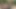 Ateşli çift şafakta kuş sesine kadar seks yapıyor.