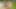 Backyard Farm Lesbian Pussy Munching Beauties