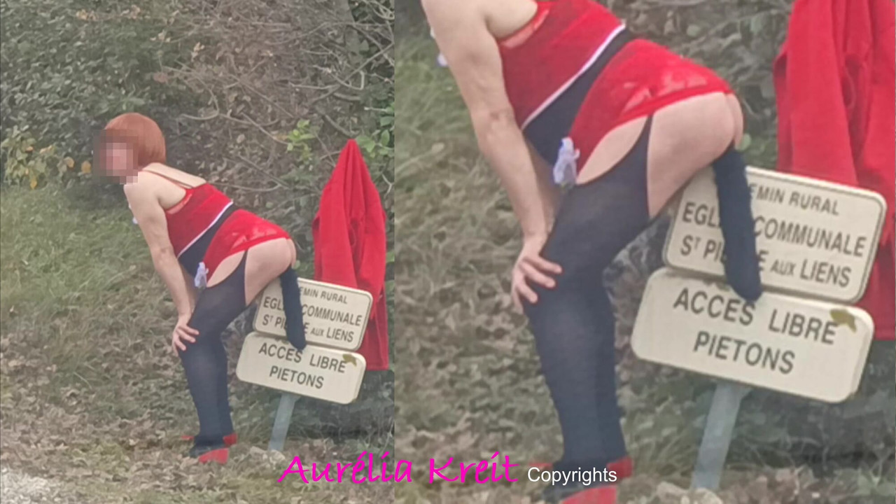 Christmas is approaching, Santa Girl is out to prepare Santa's tour: