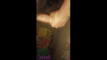 Pregled videozapisa