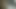 Sri lankan army cock cum