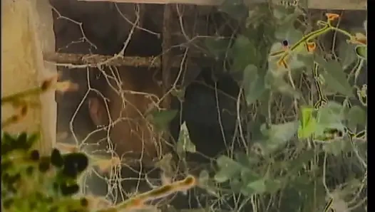Blonde MILF Get Fucked by His Boyfriend in the Forest