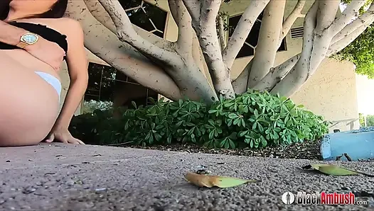 Amber Green