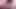 Porno dan Zoey Nixon'ın şişman götünü sikiyor ve fışkırıyor!