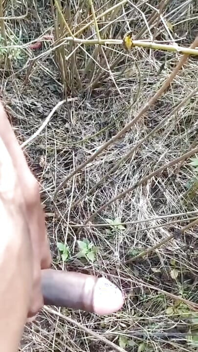 Outdoor Cumshot Complaition In Jungle