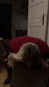 Pregled videozapisa