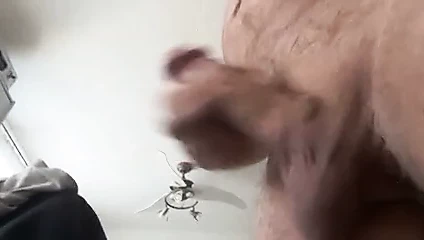 Döl arkadaşım