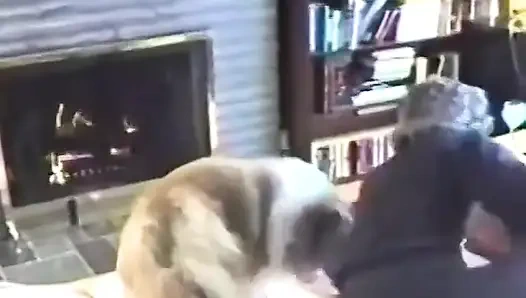 BBW Joan and Bob Fuck in Their Living Room