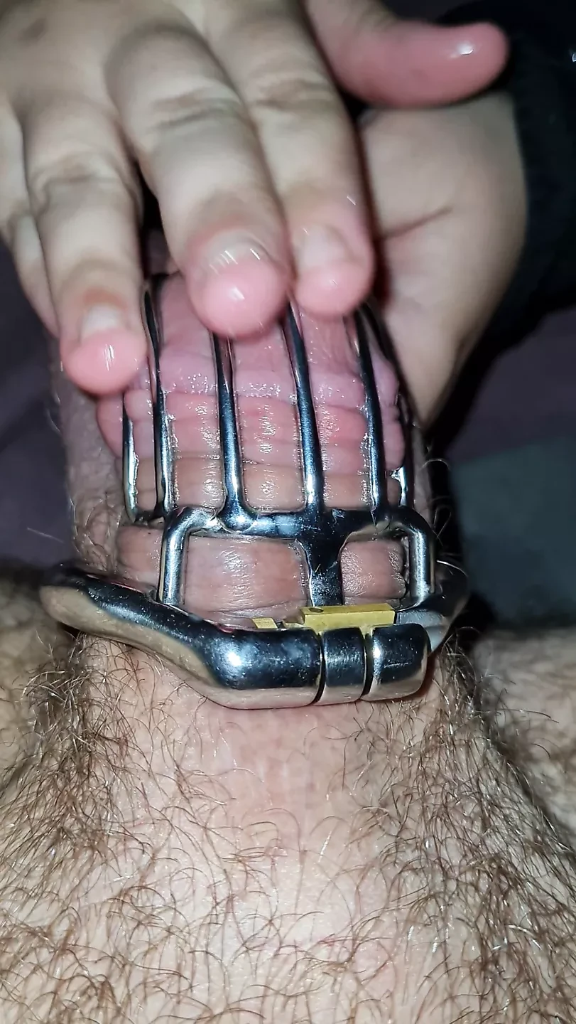Wife teasing husband locked in chastity