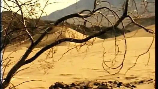 Even in the Desert Under the Hot Sun with Hot Women, There's Fucking