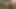 Jessica jaymes &amp; ava addams lezbiyen sikme festivali, büyük ganimet