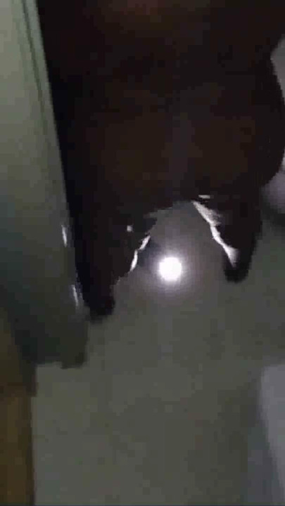 Curvă în Texas - partea 20, amatoare reală, amatoare de casă, sex fierbinte gloryhole vinerea trecută | Clip 2