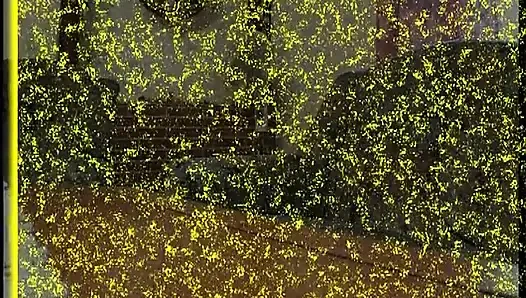 Yuvarlak götlü esmer sürtük kıllı amını bakış açısıyla parmaklıyor