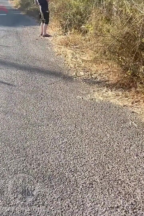 Boy Followed His Straight Friend Who Went for a Pee
