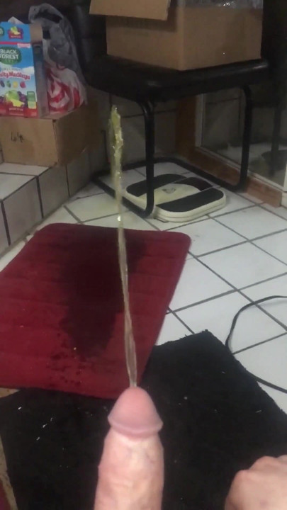 Unforgettable moment from "My Hard Dick Pissing on Floor and Spreading My Legs Compilation 1"