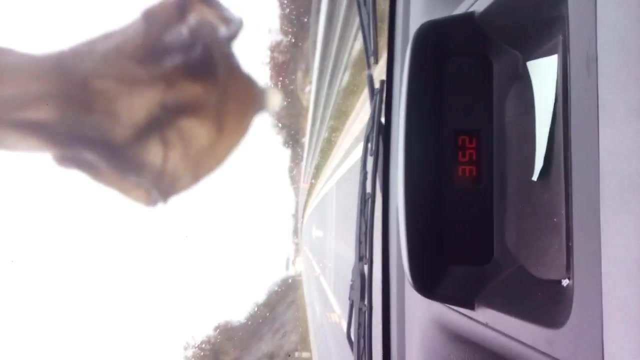 Auto miris
