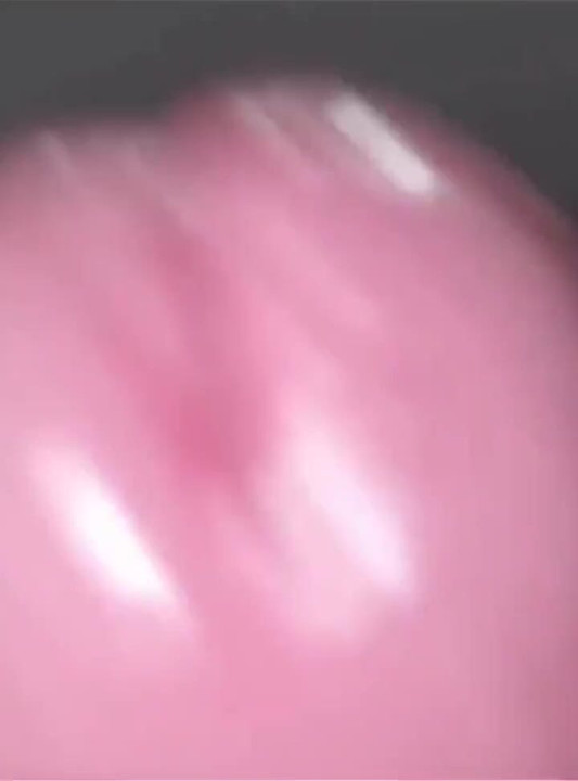 Cận cảnh con cu khổng lồ