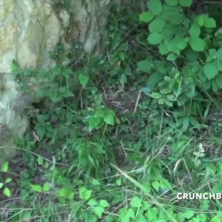 جيمي مارس الجنس متفوق على الفضول المستقيم
