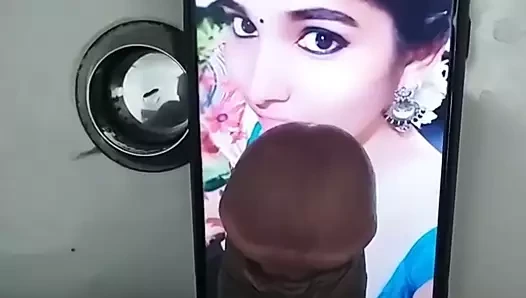 Cum haraç kuzey Hint