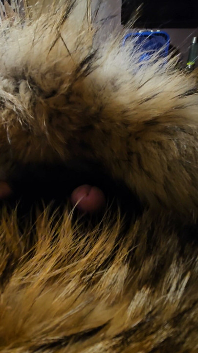 Playing in my furs puffer hood falls on my cock makes me accidentally cum all over it