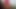 クーガーに座って、尻にイくまで