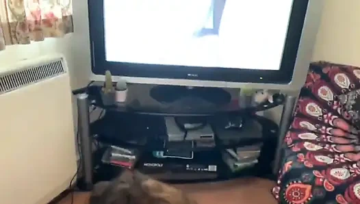 BBC Doggy Pounding Wearing Cock Ring