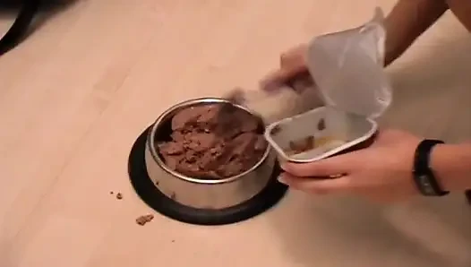 Memberinya makan dari mangkuk doggy